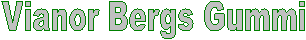 Vianor Bergs Gummi
